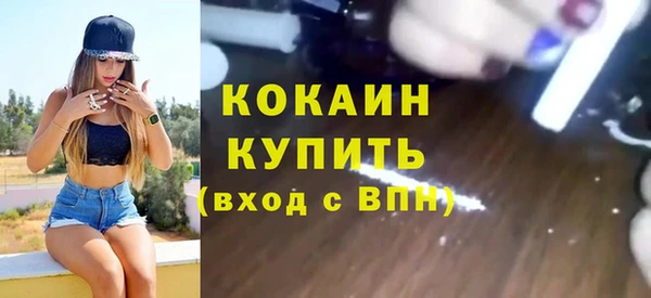 стаф Кодинск