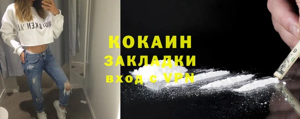сатива Козельск