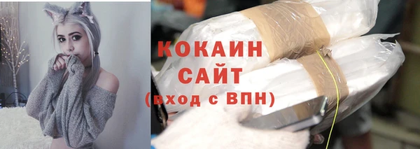 сатива Козельск