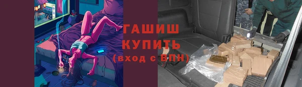 сатива Козельск