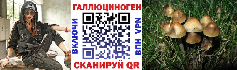 цена наркотик  Сосновоборск  даркнет телеграм  Галлюциногенные грибы ЛСД  мега как войти 