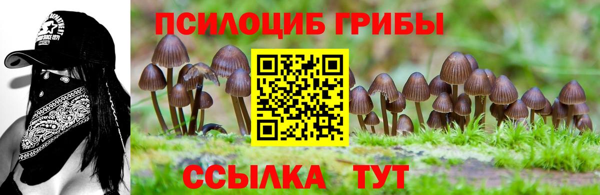 Галлюциногенные грибы MAGIC MUSHROOMS  Вход с VPN  Сосновоборск 